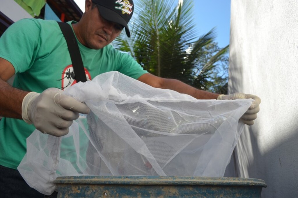 Rio das Ostras emite alerta para prevenção da dengue e intensifica ações contra o Aedes aegypti