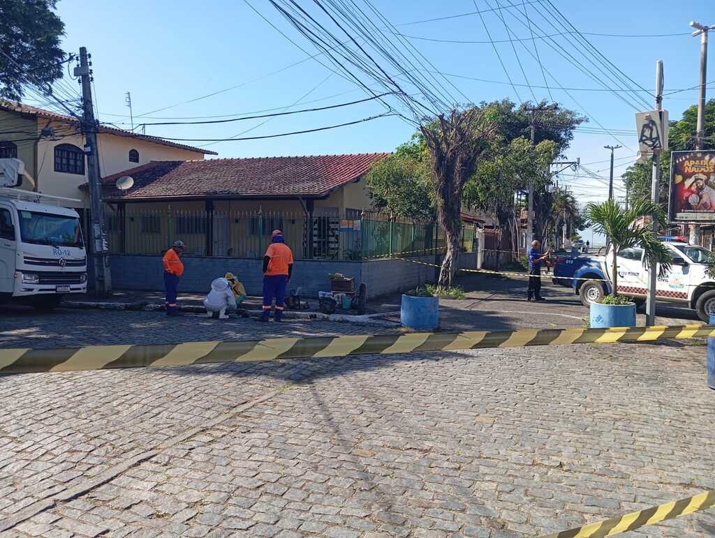 Defesa Civil remove enxame de abelhas no Centro de Rio das Ostras nesta quinta-feira