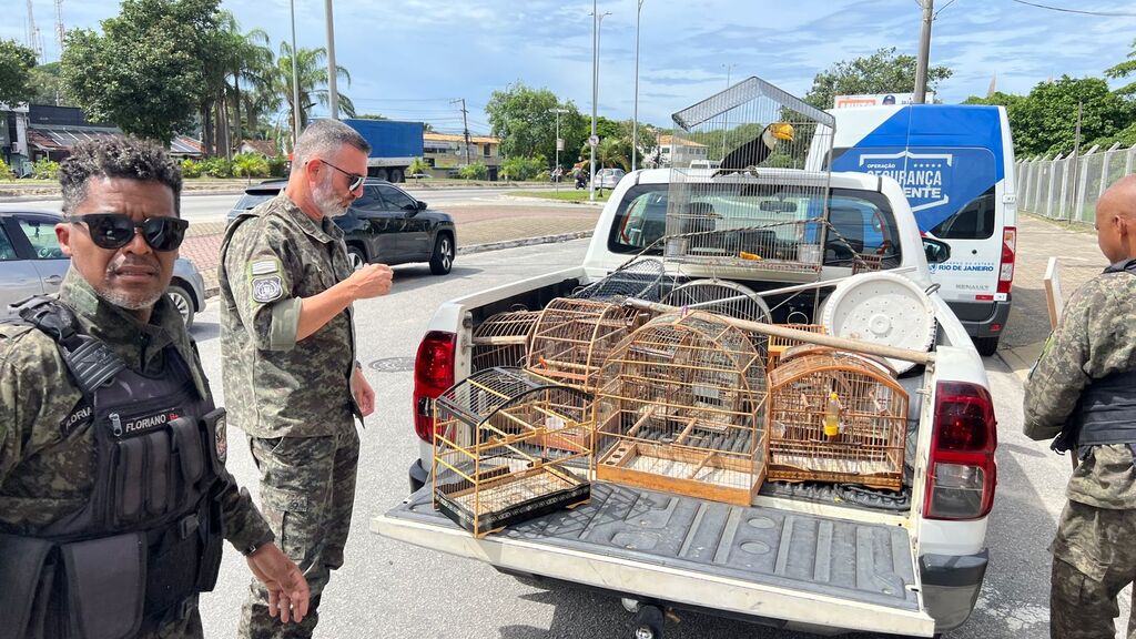 Guarda Ambiental de Rio das Ostras apreende aves silvestres